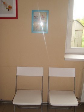 állatorvosi rendelő győrszentiván váróterem