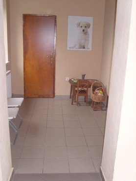 állatorvosi rendelő győrszentiván váróterem
