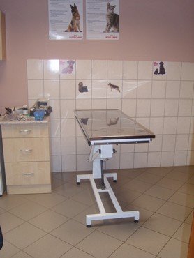 állatorvosi rendelő győrszentiván kezelő