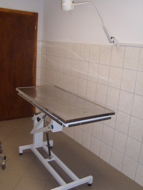 állatorvosi rendelő győrszentiván kezelő asztal