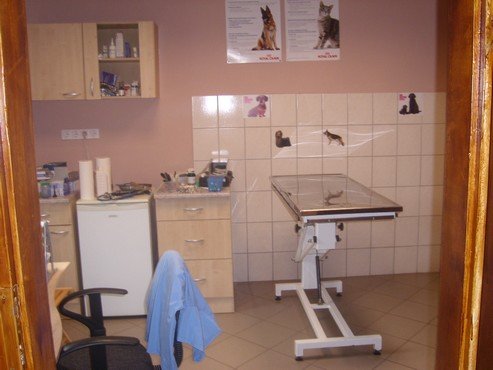 állatorvosi rendelő győrszentiván kezelő